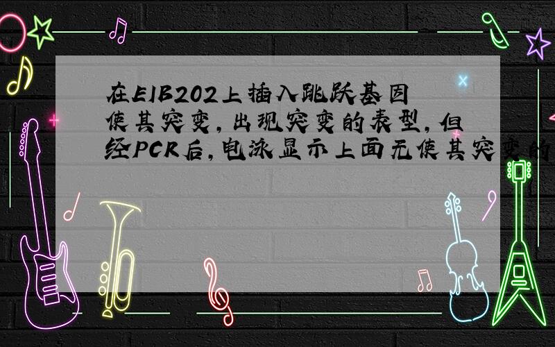 在EIB202上插入跳跃基因使其突变,出现突变的表型,但经PCR后,电泳显示上面无使其突变的基因片段.