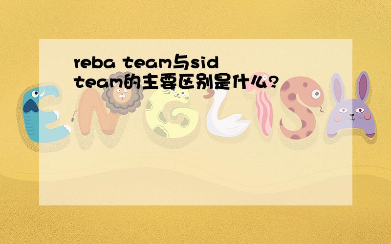 reba team与sid team的主要区别是什么?