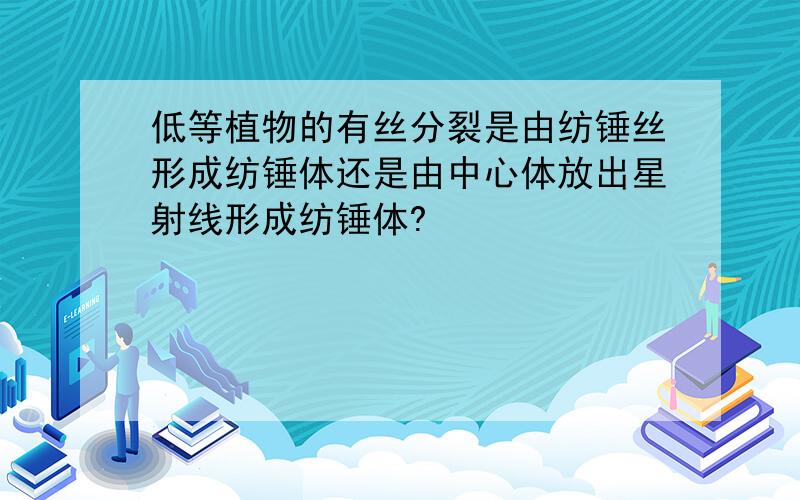 低等植物的有丝分裂是由纺锤丝形成纺锤体还是由中心体放出星射线形成纺锤体?