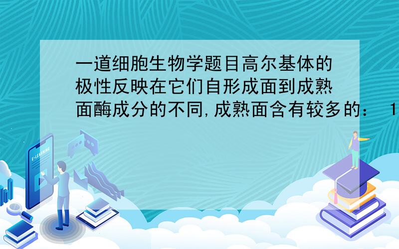 一道细胞生物学题目高尔基体的极性反映在它们自形成面到成熟面酶成分的不同,成熟面含有较多的： 1）甘露糖磷酸化酶 2）唾液