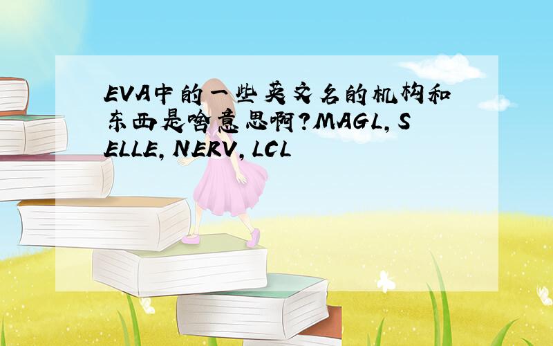 EVA中的一些英文名的机构和东西是啥意思啊?MAGL,SELLE,NERV,LCL