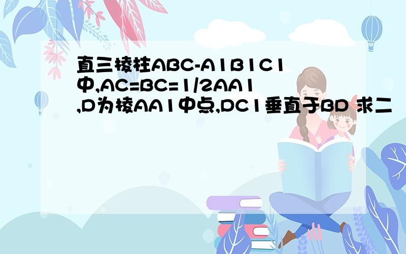 直三棱柱ABC-A1B1C1中,AC=BC=1/2AA1,D为棱AA1中点,DC1垂直于BD 求二