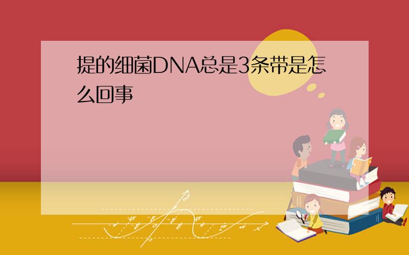 提的细菌DNA总是3条带是怎么回事