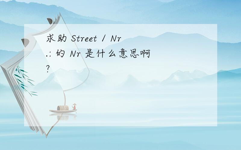 求助 Street / Nr.: 的 Nr 是什么意思啊?