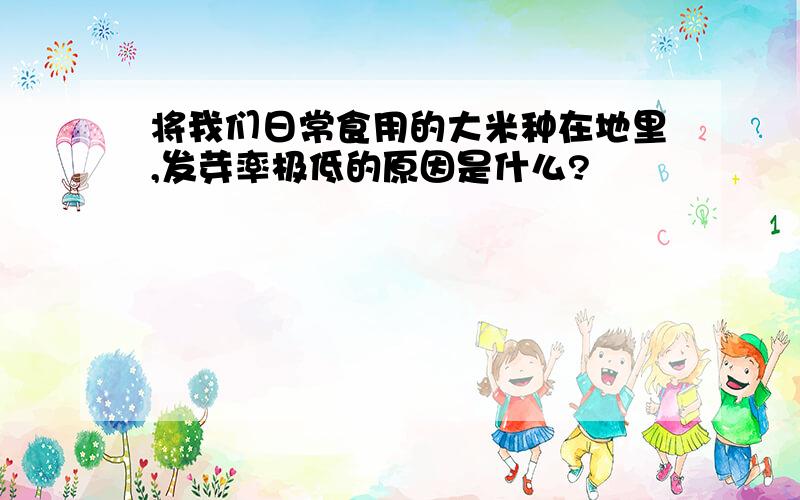 将我们日常食用的大米种在地里,发芽率极低的原因是什么?