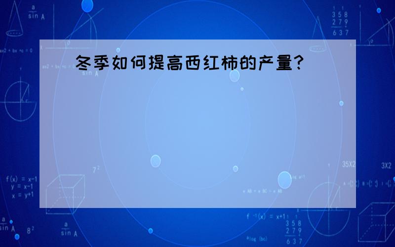 冬季如何提高西红柿的产量?