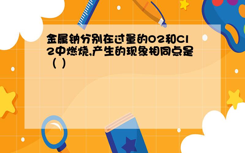 金属钠分别在过量的O2和Cl2中燃烧,产生的现象相同点是（ ）