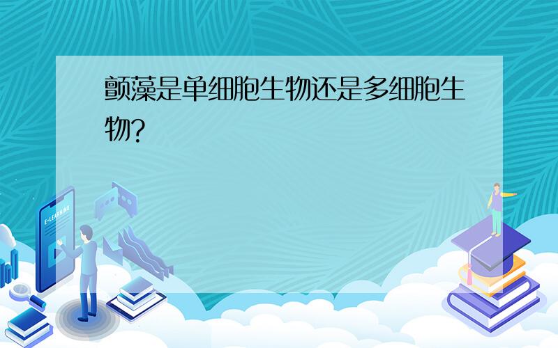 颤藻是单细胞生物还是多细胞生物?