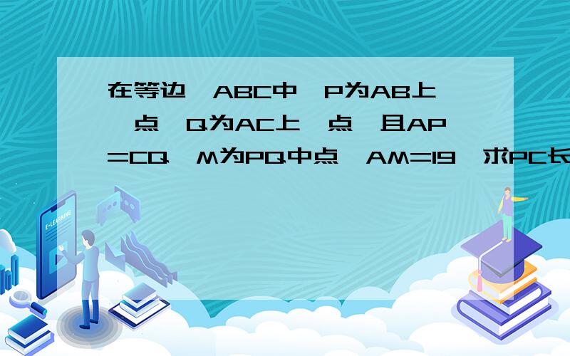 在等边△ABC中,P为AB上一点,Q为AC上一点,且AP=CQ,M为PQ中点,AM=19,求PC长