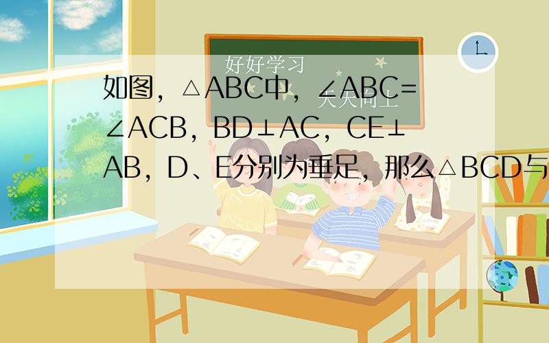 如图，△ABC中，∠ABC=∠ACB，BD⊥AC，CE⊥AB，D、E分别为垂足，那么△BCD与△CBE全等吗？为什么？