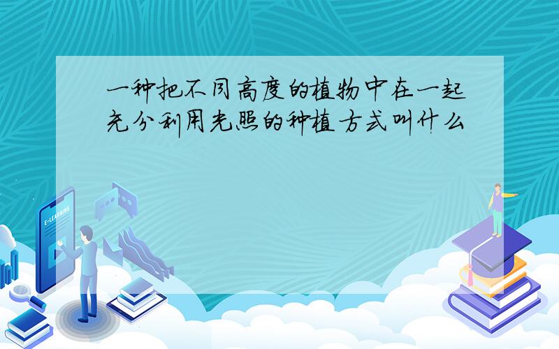 一种把不同高度的植物中在一起充分利用光照的种植方式叫什么