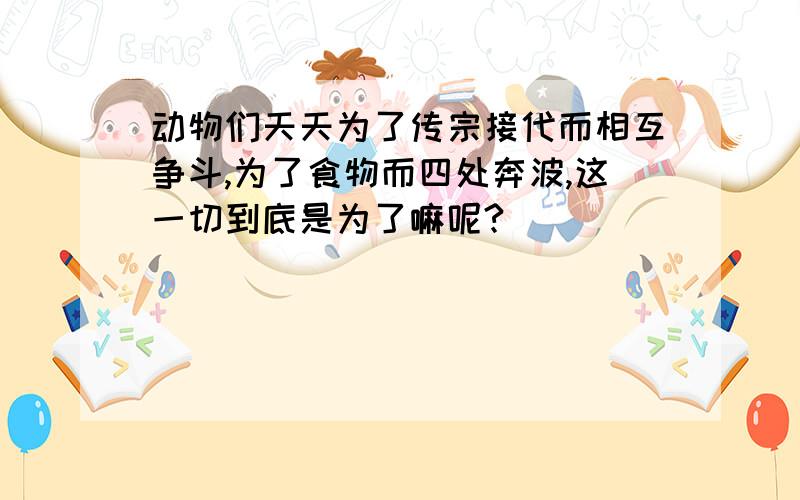 动物们天天为了传宗接代而相互争斗,为了食物而四处奔波,这一切到底是为了嘛呢?