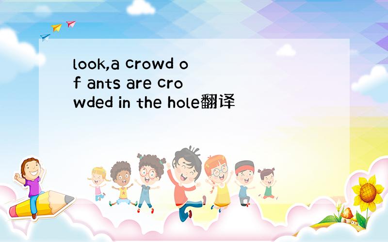 look,a crowd of ants are crowded in the hole翻译