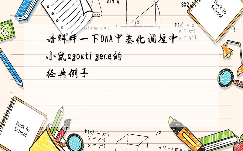 请解释一下DNA甲基化调控中小鼠agouti gene的经典例子