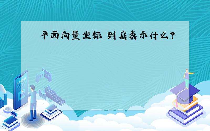 平面向量坐标 到底表示什么?