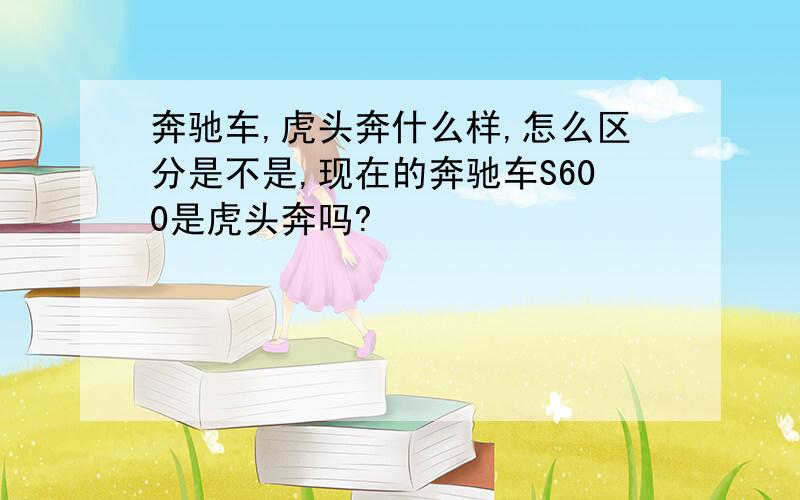 奔驰车,虎头奔什么样,怎么区分是不是,现在的奔驰车S600是虎头奔吗?