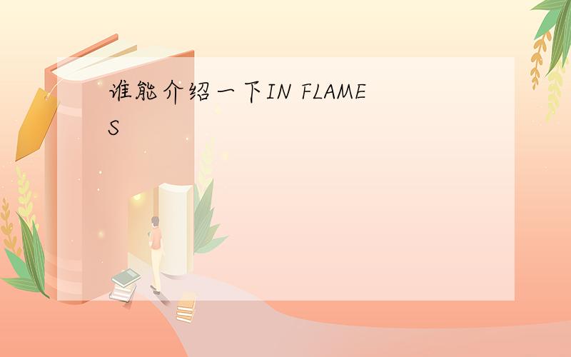 谁能介绍一下IN FLAMES