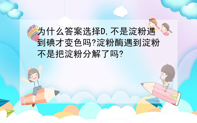 为什么答案选择D,不是淀粉遇到碘才变色吗?淀粉酶遇到淀粉不是把淀粉分解了吗?