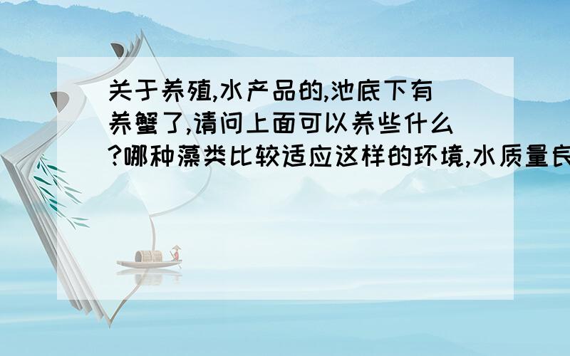 关于养殖,水产品的,池底下有养蟹了,请问上面可以养些什么?哪种藻类比较适应这样的环境,水质量良好.