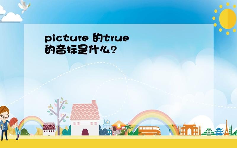 picture 的true 的音标是什么?