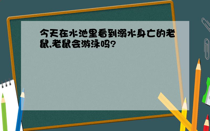 今天在水池里看到溺水身亡的老鼠,老鼠会游泳吗?