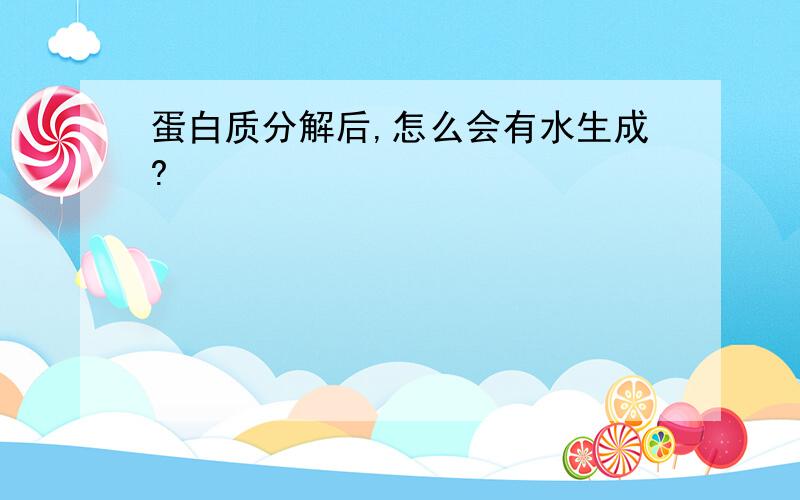 蛋白质分解后,怎么会有水生成?