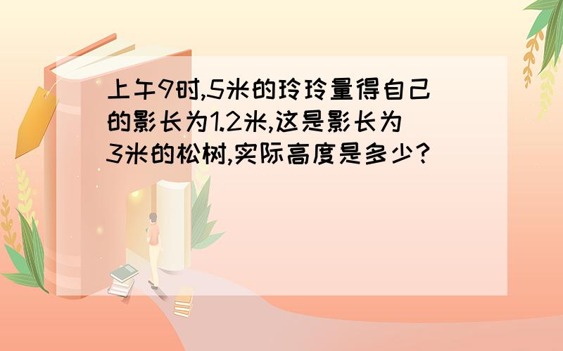 上午9时,5米的玲玲量得自己的影长为1.2米,这是影长为3米的松树,实际高度是多少?