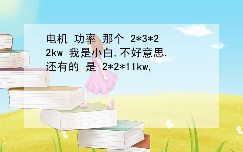 电机 功率 那个 2*3*22kw 我是小白,不好意思.还有的 是 2*2*11kw,