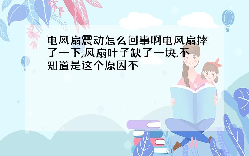 电风扇震动怎么回事啊电风扇摔了一下,风扇叶子缺了一块.不知道是这个原因不