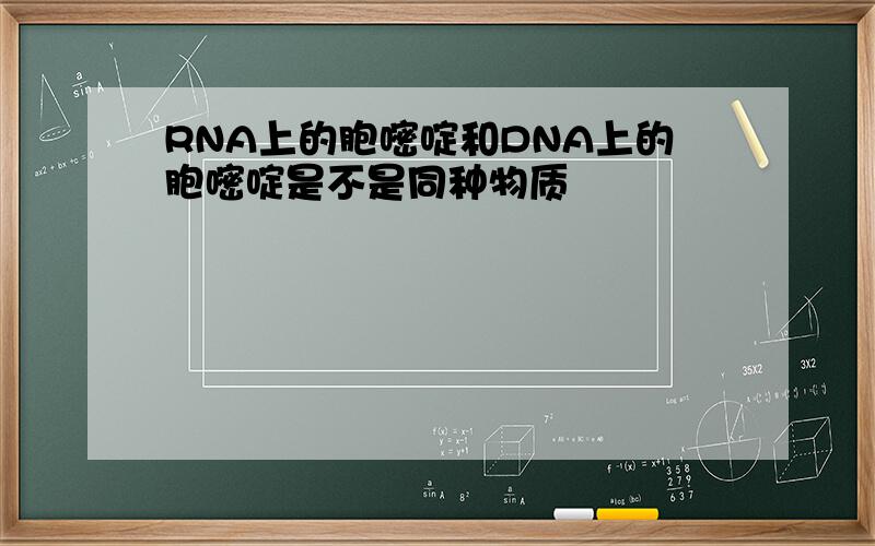 RNA上的胞嘧啶和DNA上的胞嘧啶是不是同种物质