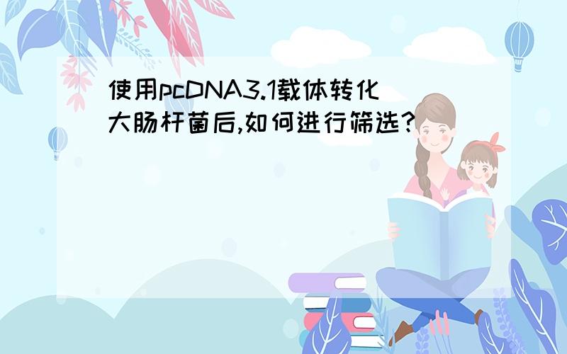 使用pcDNA3.1载体转化大肠杆菌后,如何进行筛选?