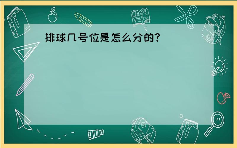 排球几号位是怎么分的?