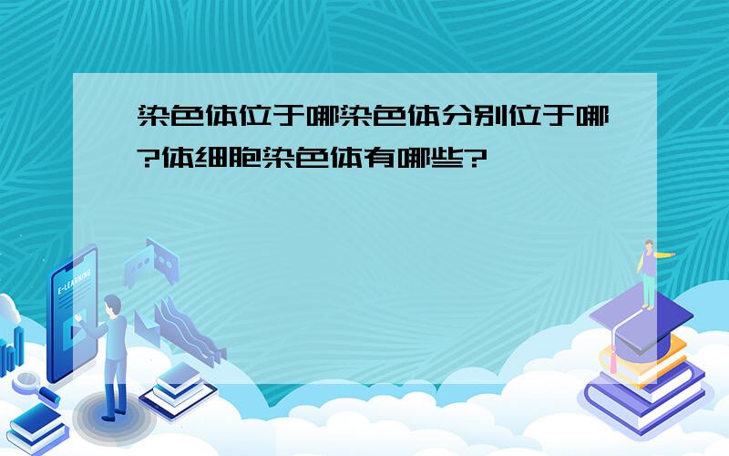 染色体位于哪染色体分别位于哪?体细胞染色体有哪些?