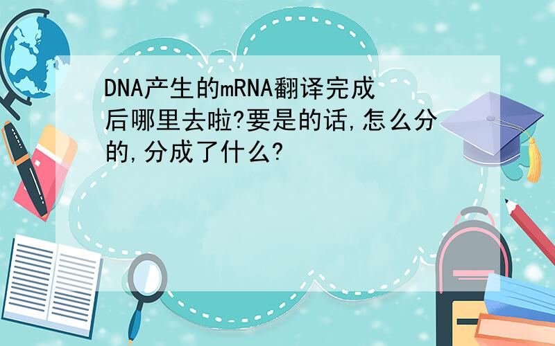 DNA产生的mRNA翻译完成后哪里去啦?要是的话,怎么分的,分成了什么?