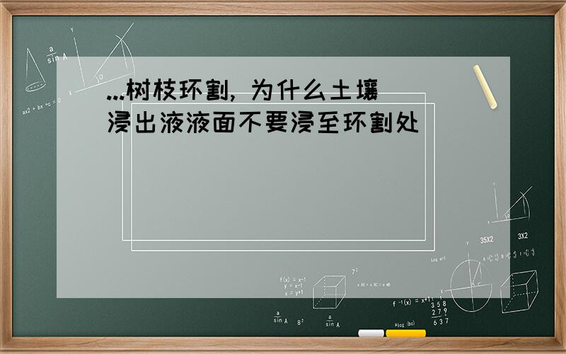 ...树枝环割, 为什么土壤浸出液液面不要浸至环割处