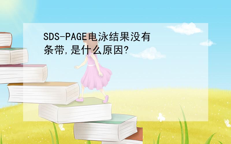 SDS-PAGE电泳结果没有条带,是什么原因?