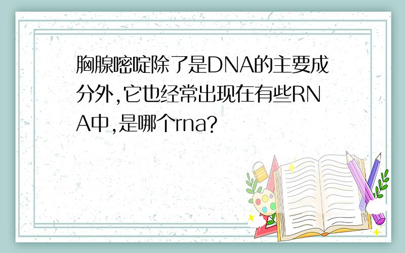 胸腺嘧啶除了是DNA的主要成分外,它也经常出现在有些RNA中,是哪个rna?