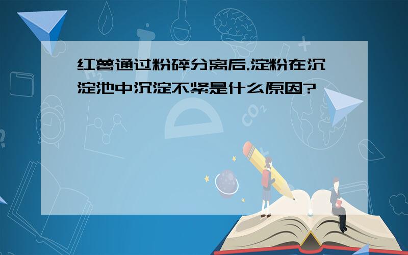 红薯通过粉碎分离后.淀粉在沉淀池中沉淀不紧是什么原因?