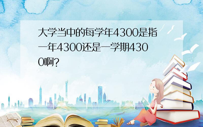 大学当中的每学年4300是指一年4300还是一学期4300啊?