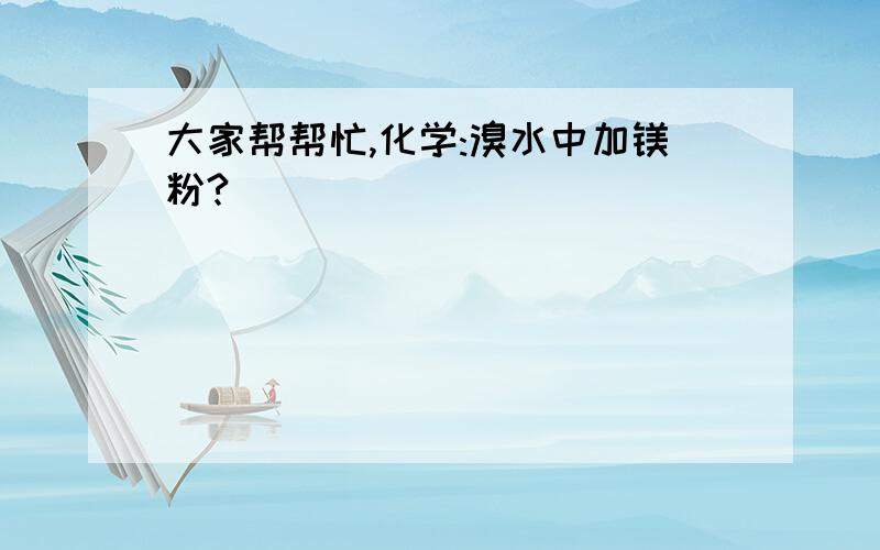 大家帮帮忙,化学:溴水中加镁粉?