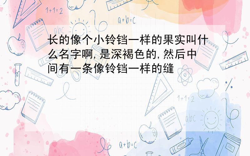 长的像个小铃铛一样的果实叫什么名字啊,是深褐色的,然后中间有一条像铃铛一样的缝