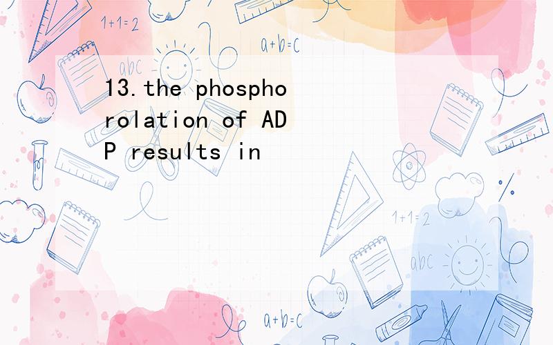 13.the phosphorolation of ADP results in