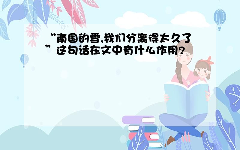 “南国的雪,我们分离得太久了”这句话在文中有什么作用?