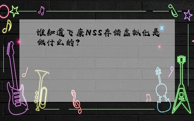 谁知道飞康NSS存储虚拟化是做什么的?