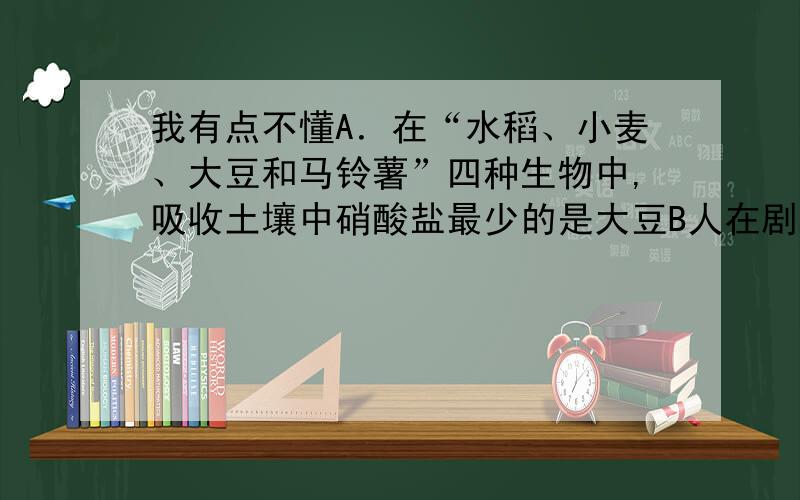 我有点不懂A．在“水稻、小麦、大豆和马铃薯”四种生物中,吸收土壤中硝酸盐最少的是大豆B人在剧烈运动后,骨骼肌产生的大量乳