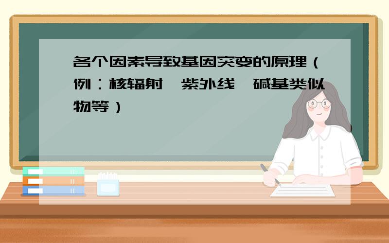 各个因素导致基因突变的原理（例：核辐射、紫外线、碱基类似物等）