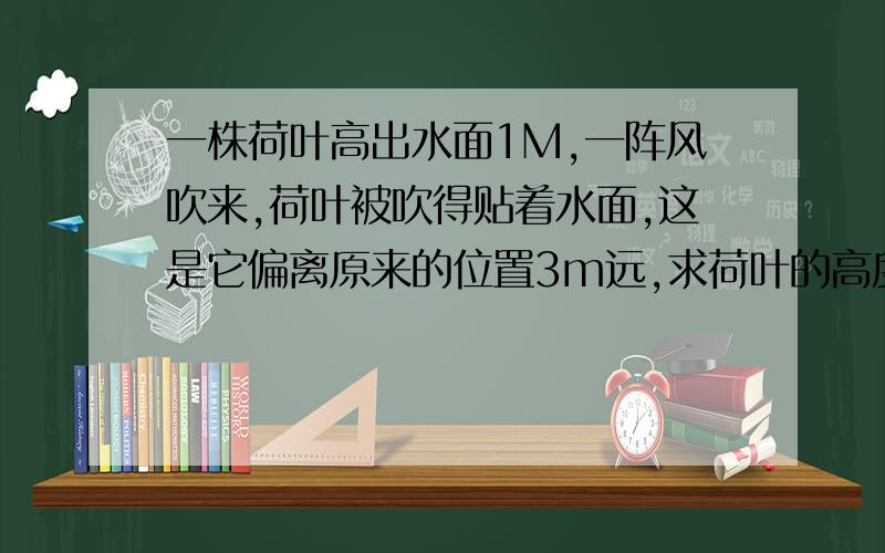 一株荷叶高出水面1M,一阵风吹来,荷叶被吹得贴着水面,这是它偏离原来的位置3m远,求荷叶的高度,和水的深