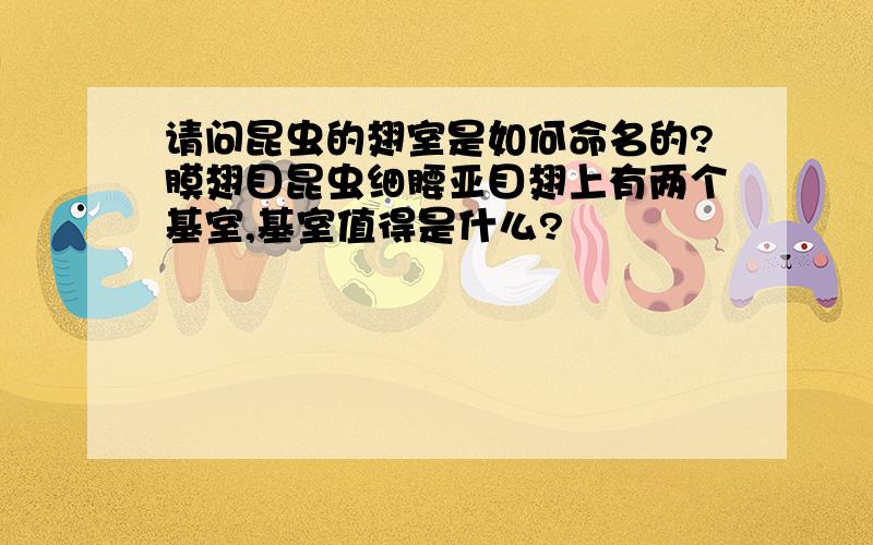 请问昆虫的翅室是如何命名的?膜翅目昆虫细腰亚目翅上有两个基室,基室值得是什么?