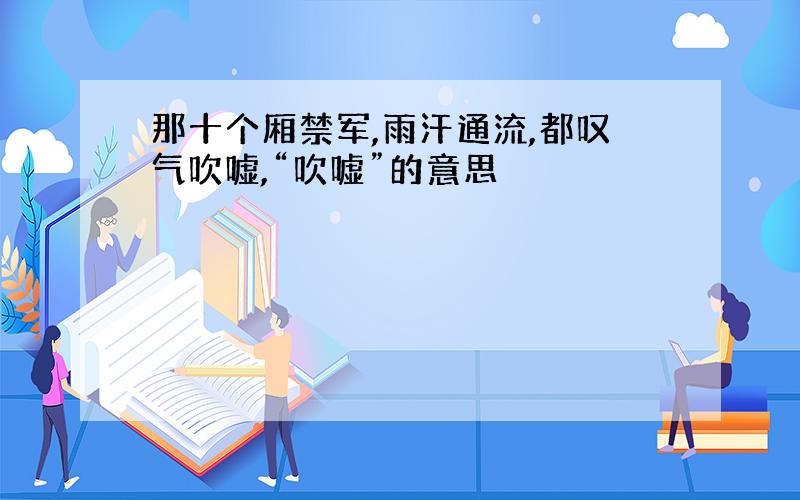 那十个厢禁军,雨汗通流,都叹气吹嘘,“吹嘘”的意思