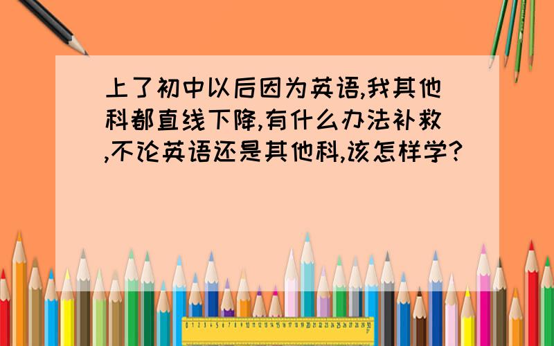 上了初中以后因为英语,我其他科都直线下降,有什么办法补救,不论英语还是其他科,该怎样学?